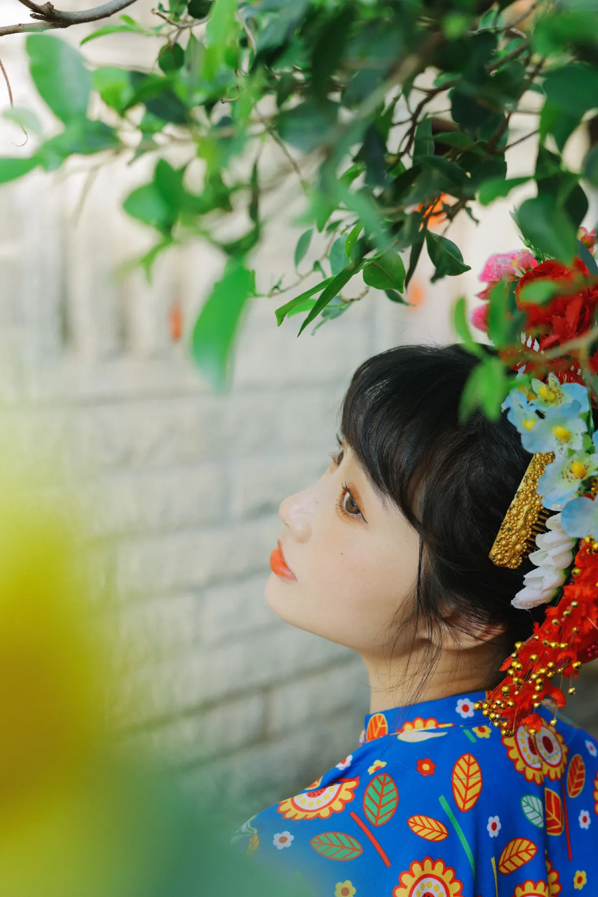 头上花园