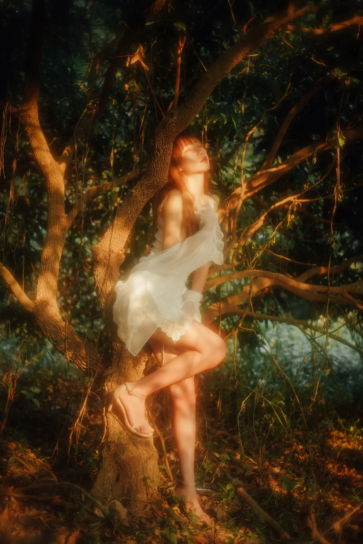 森林里的精灵3