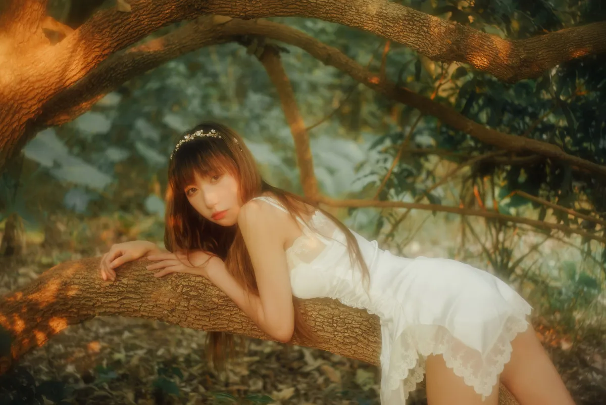 森林里的精灵