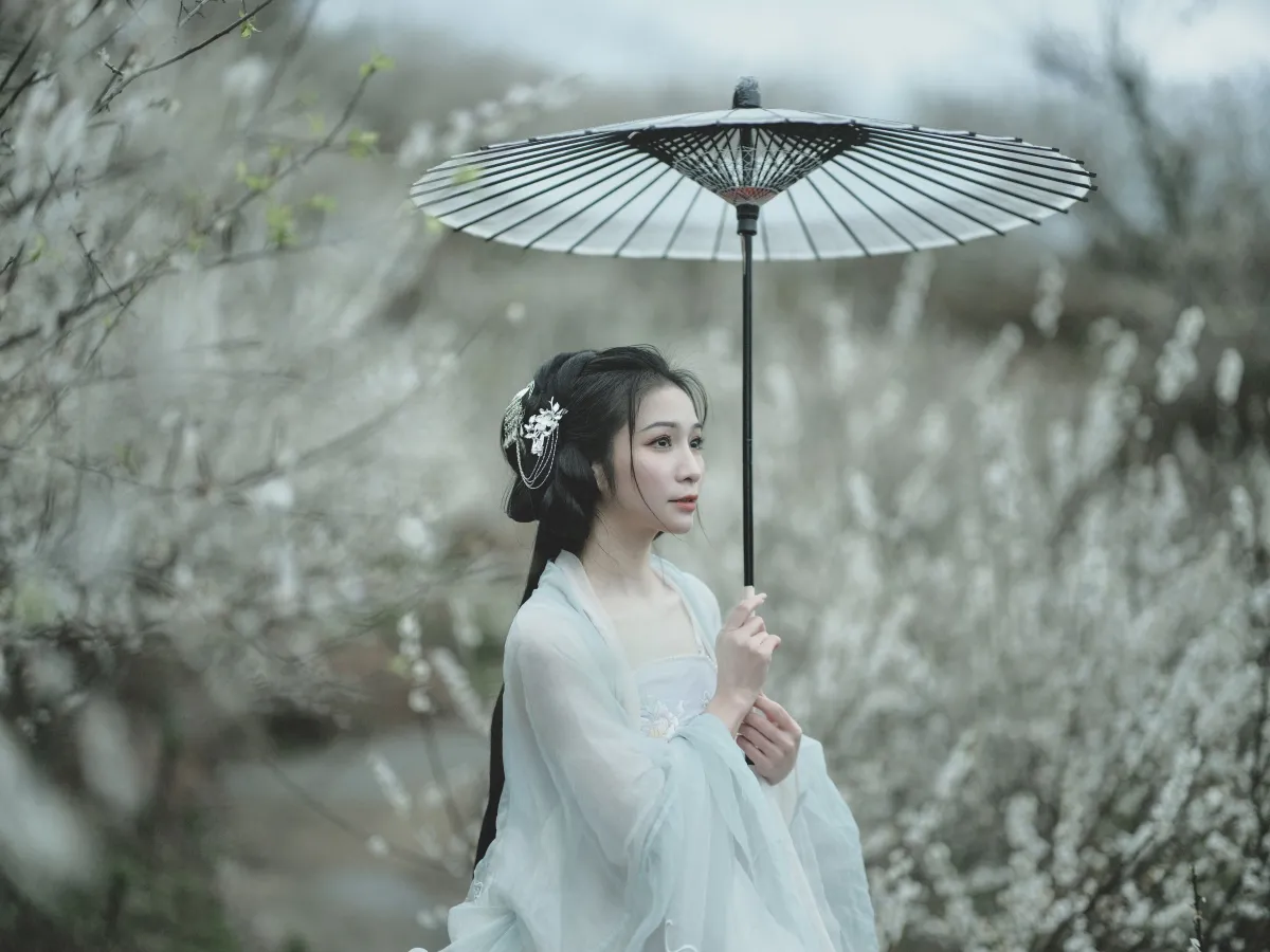 冬梅3