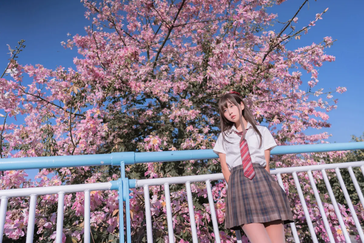 异木棉花