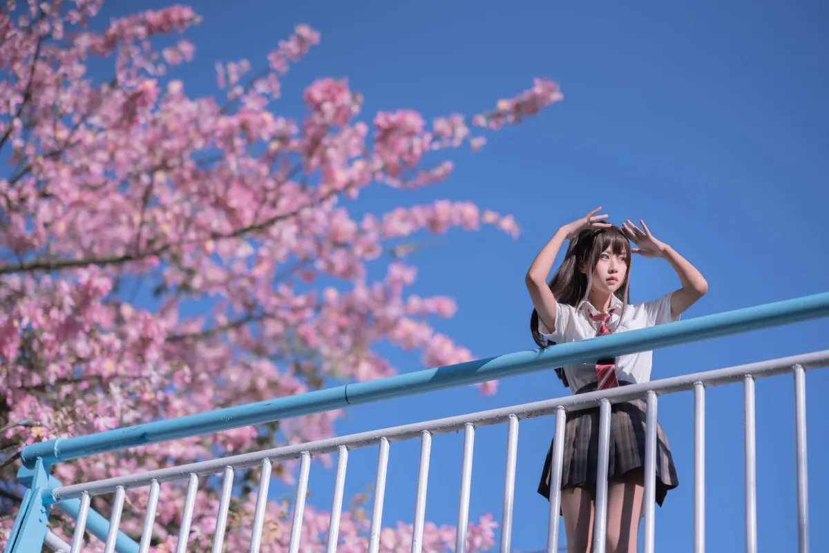 异木棉花3
