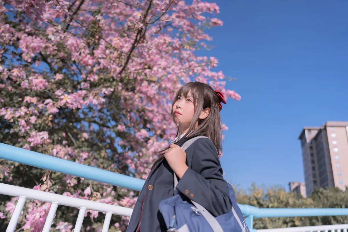 异木棉花