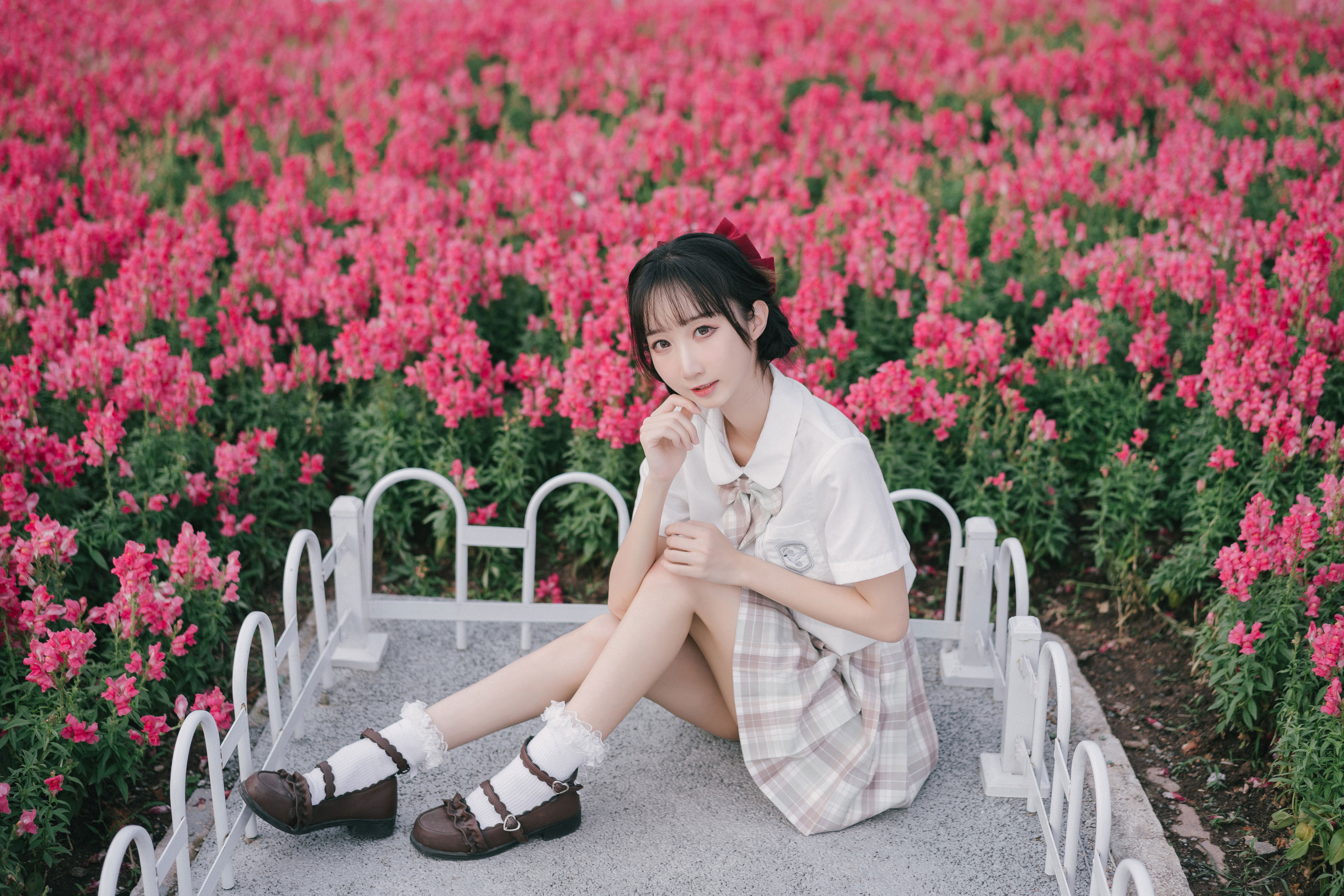 金鱼草