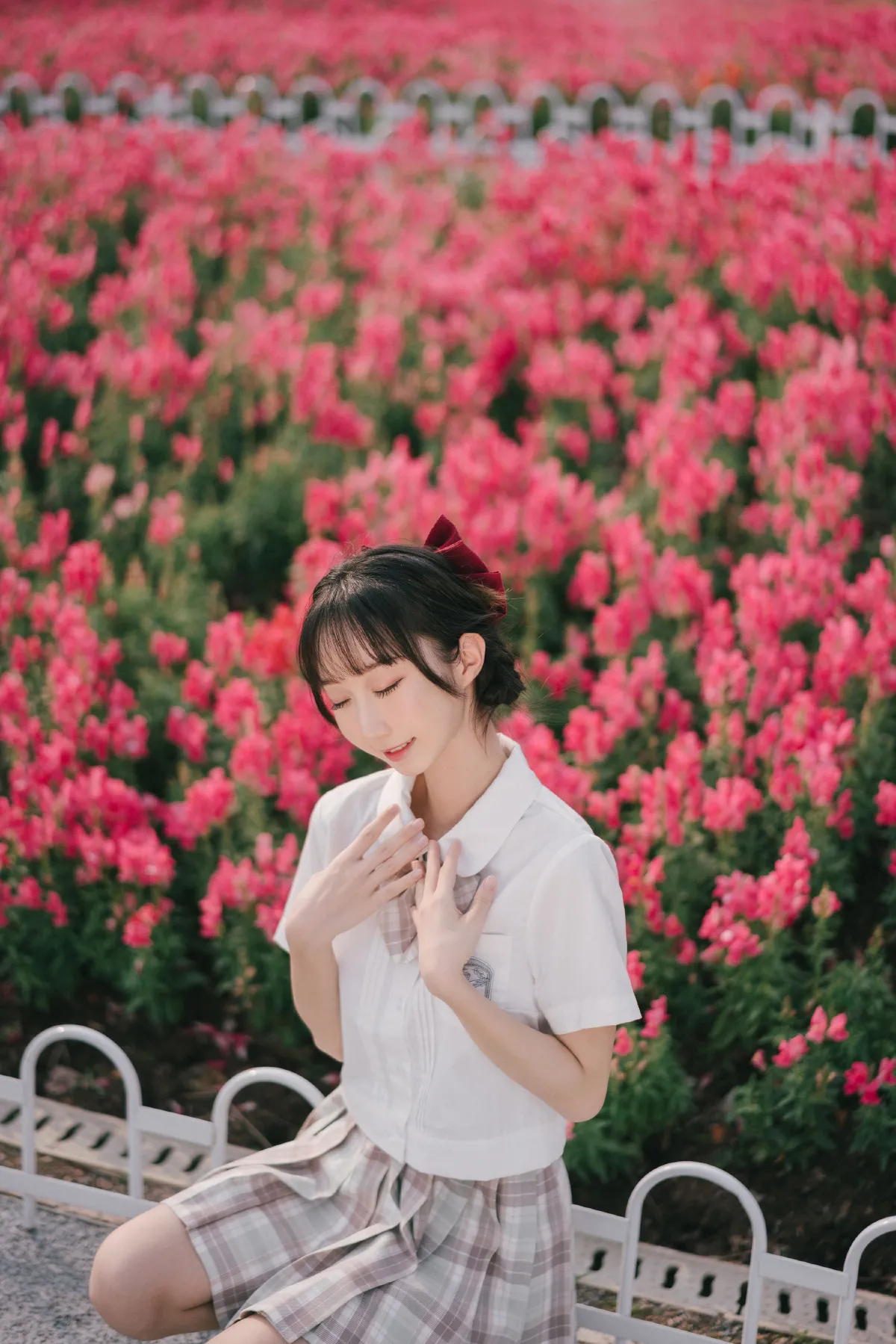 金鱼草2