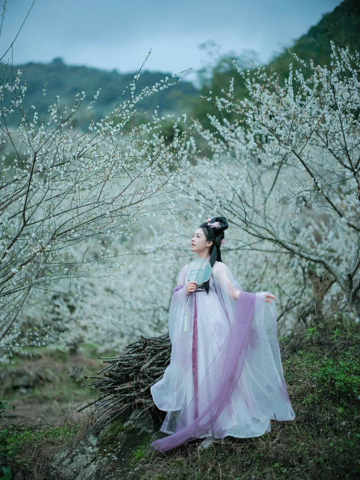 梅花三弄1