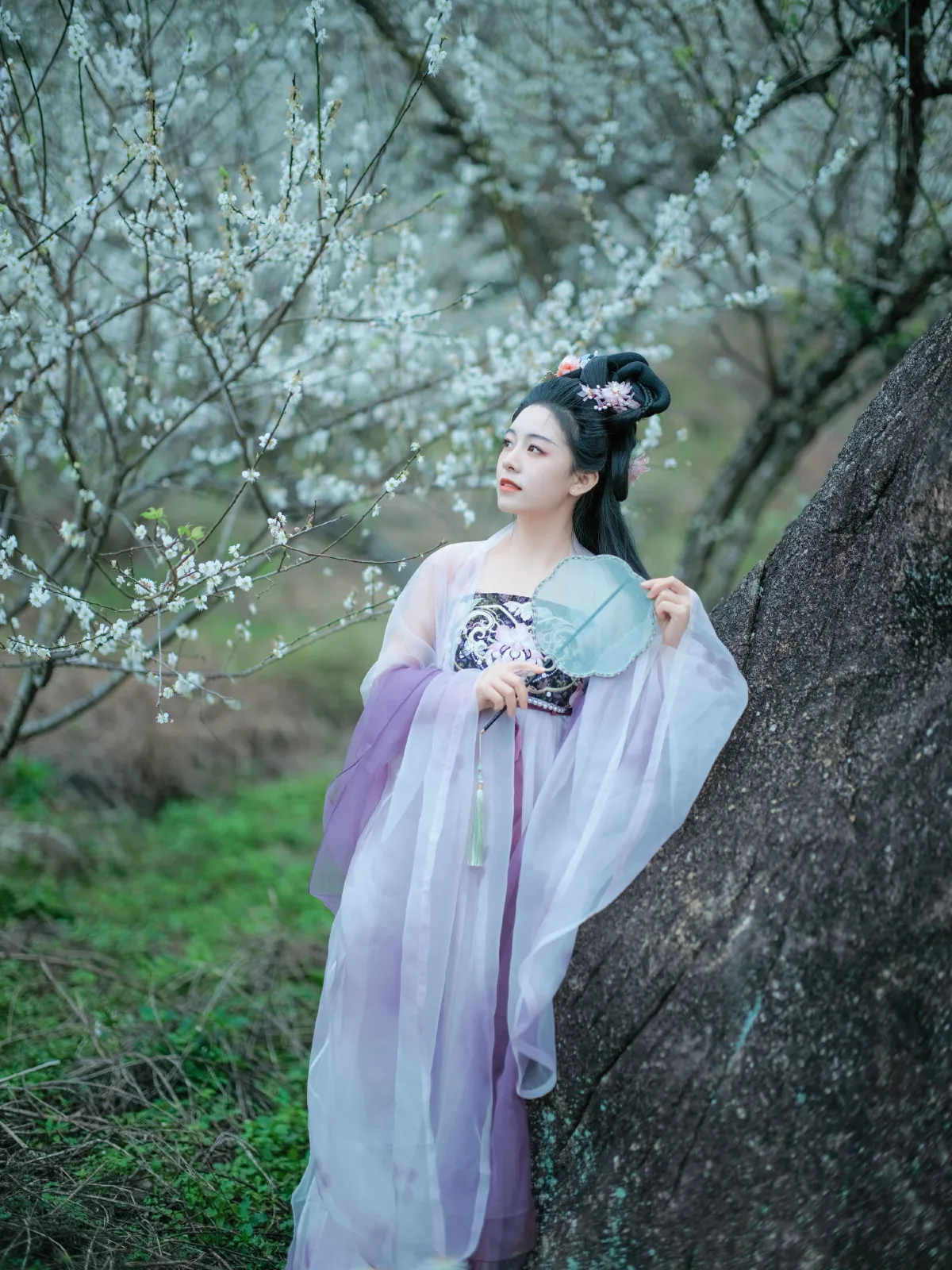 梅花三弄2