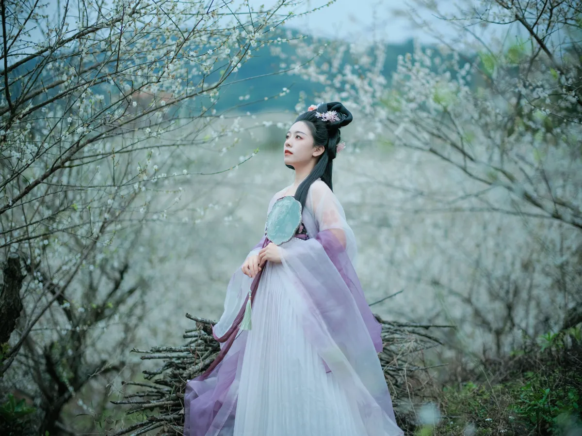 梅花三弄3