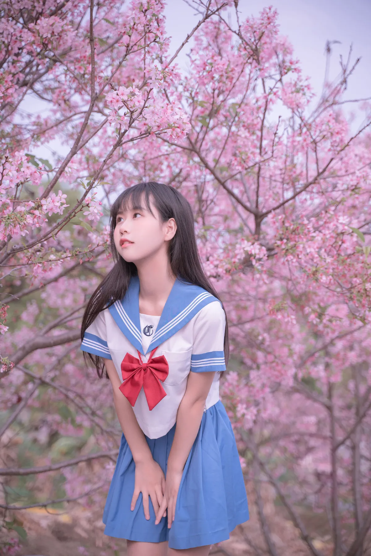 樱花jk1