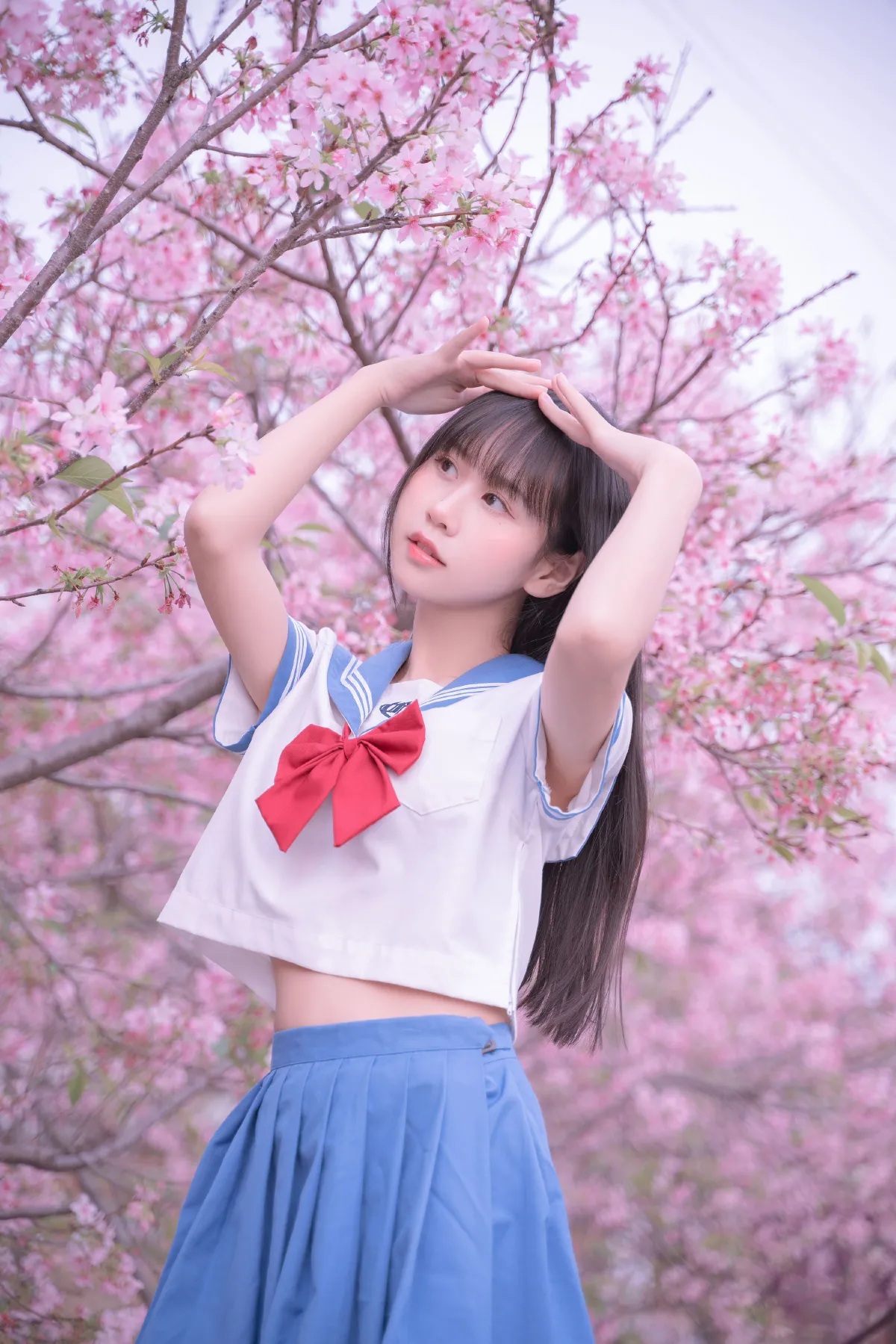 樱花jk2