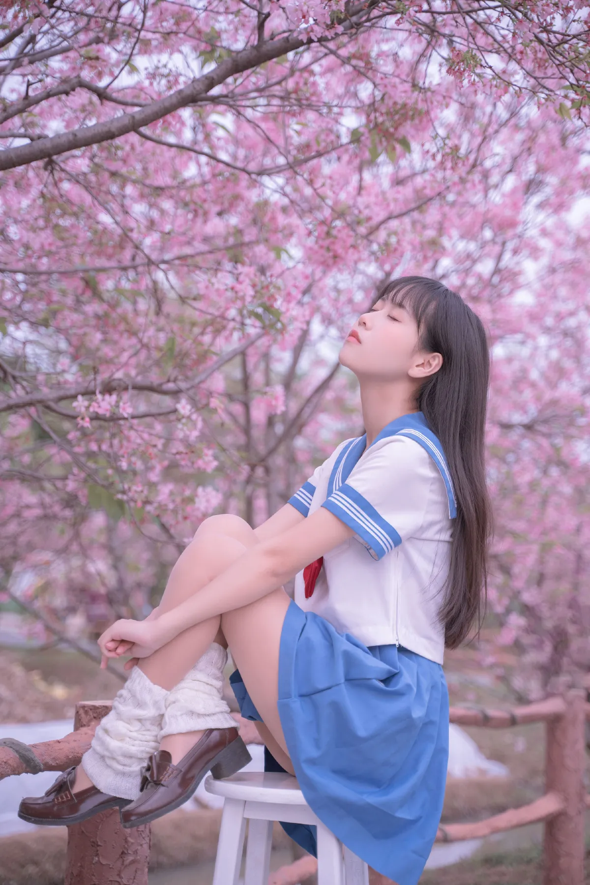 樱花jk3