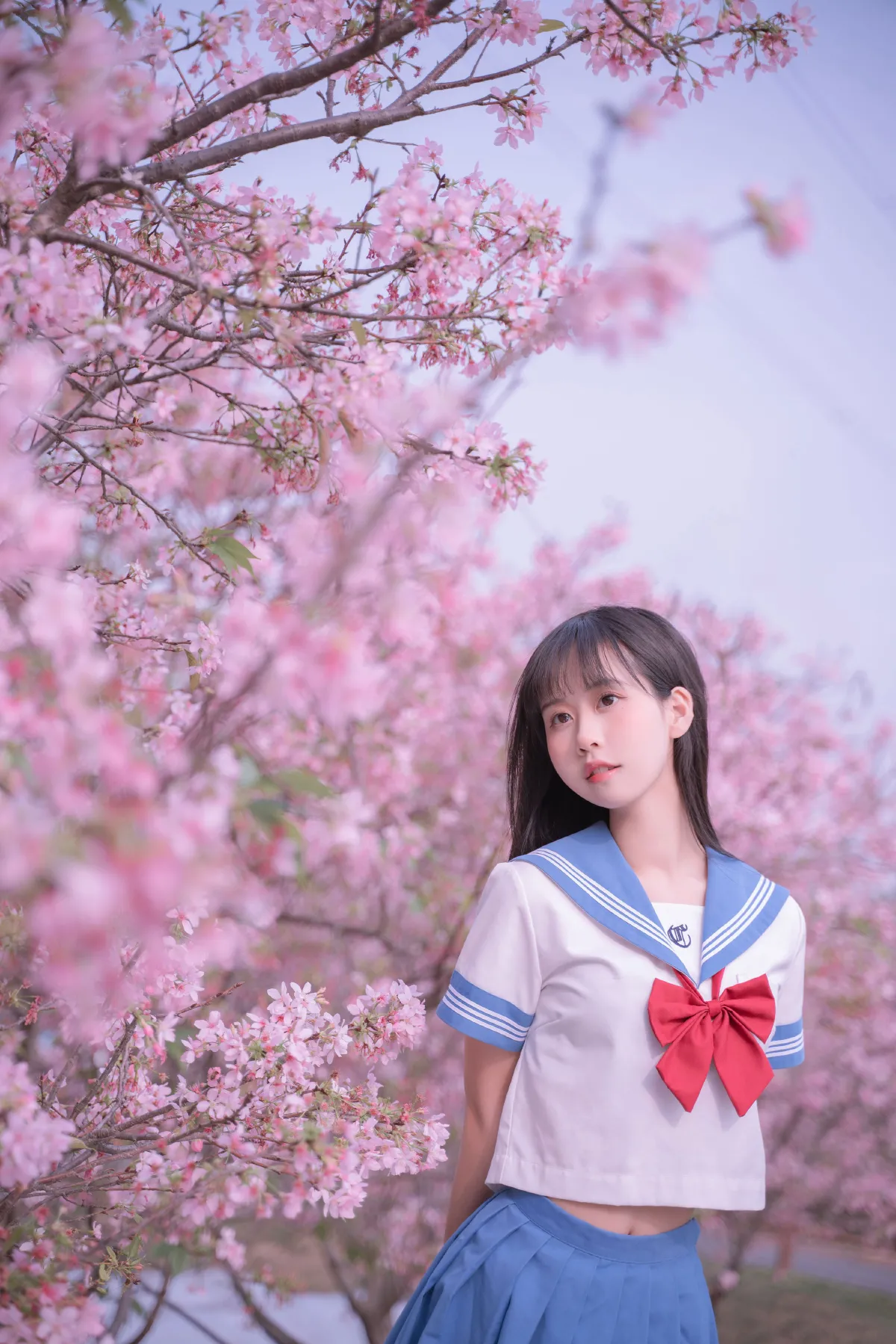 樱花jk