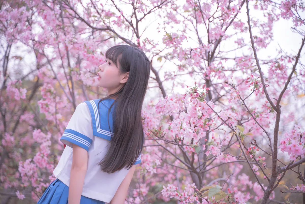 樱花jk