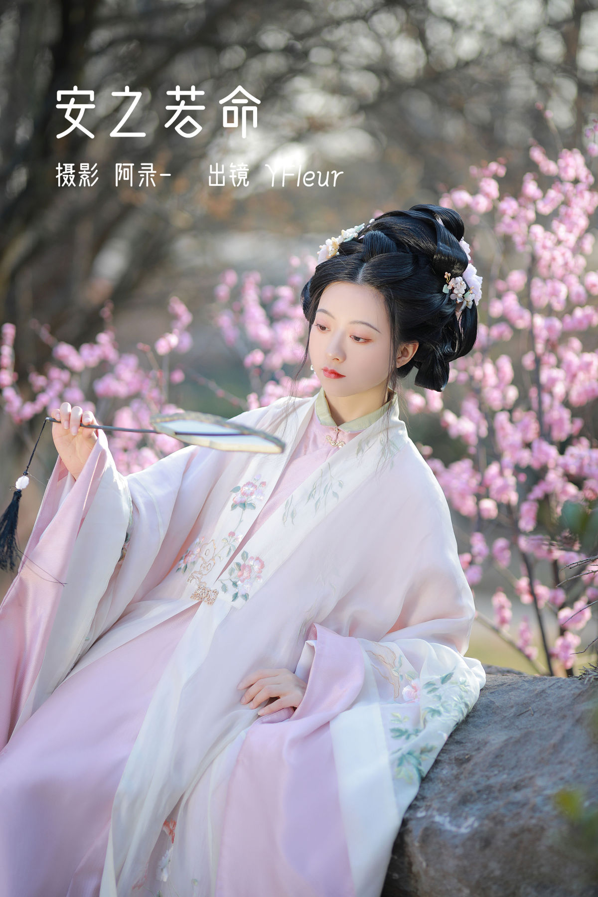 阿录-_与芳《安之若命》美图作品图片1