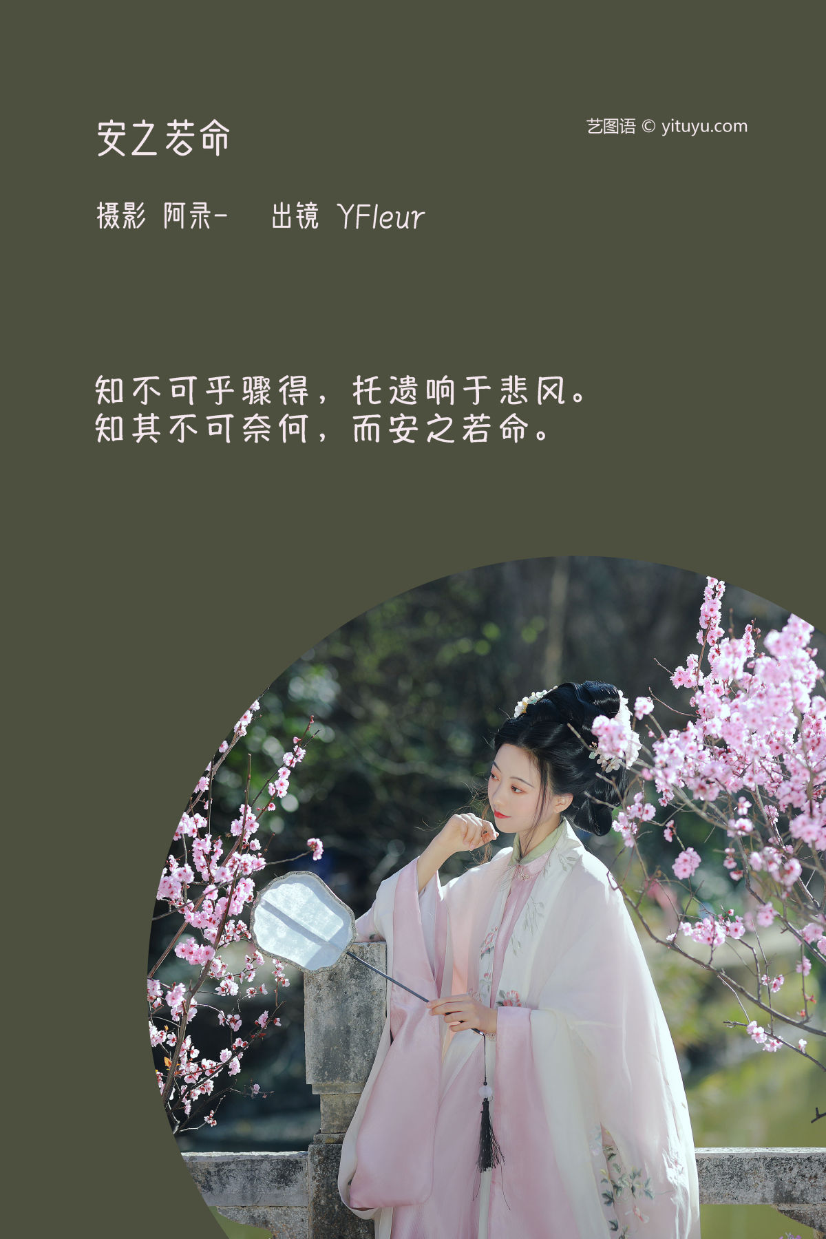 阿录-_与芳《安之若命》美图作品图片2