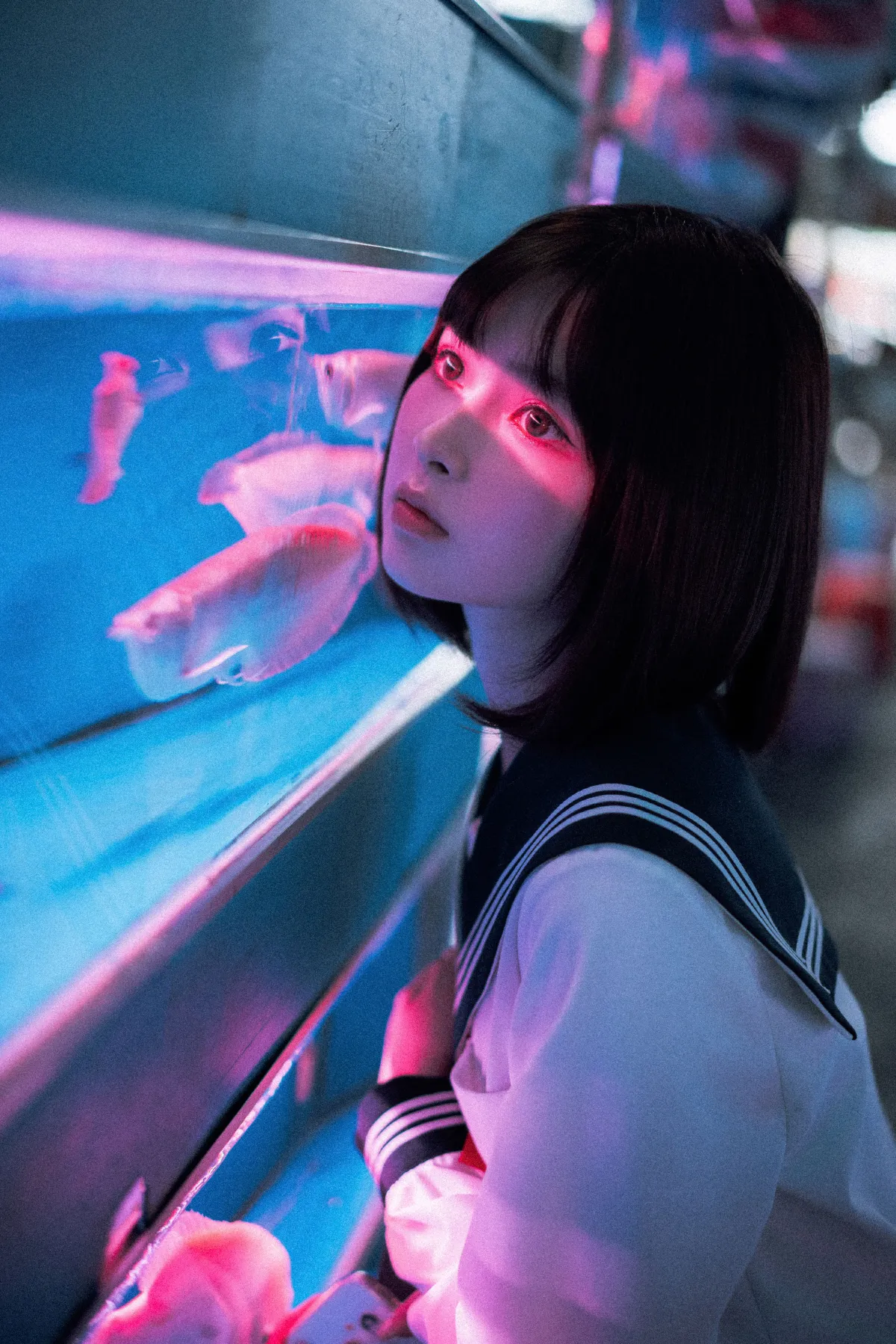 金鱼jk2