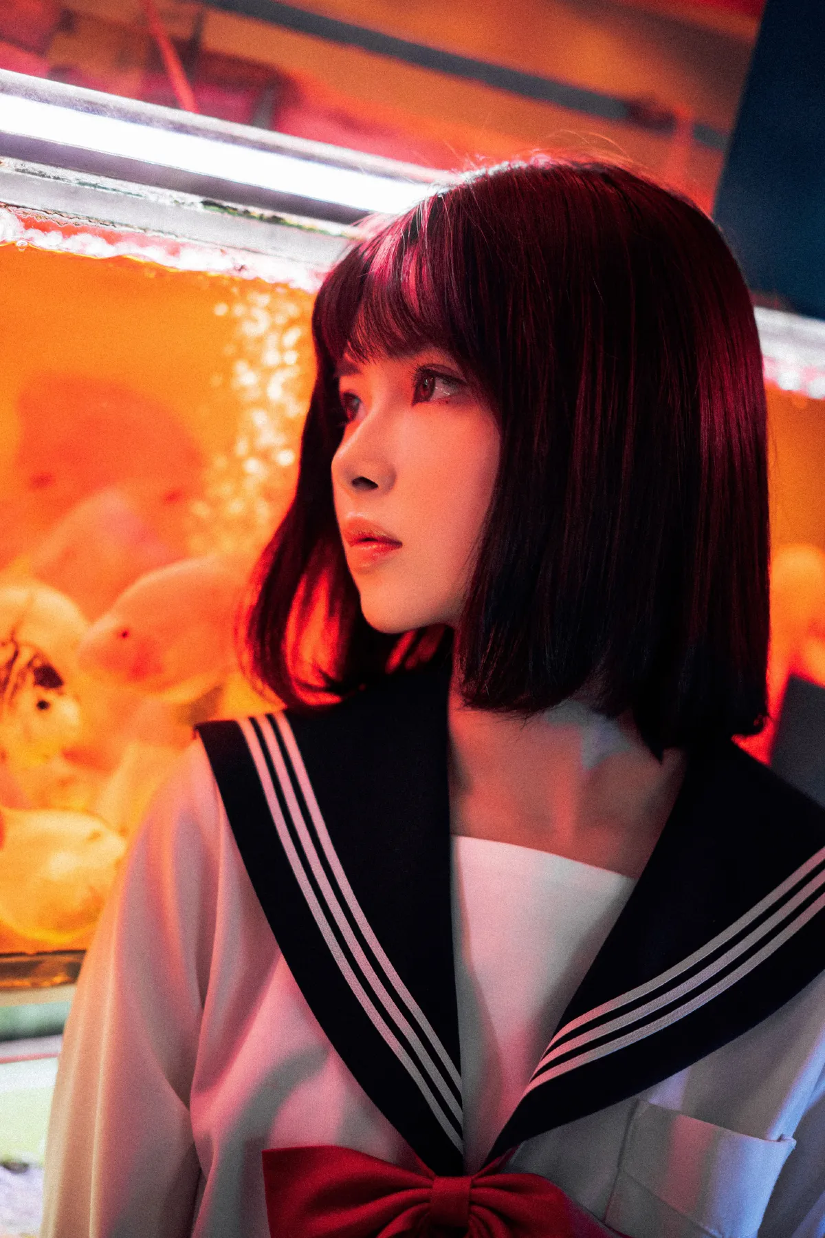 金鱼jk3