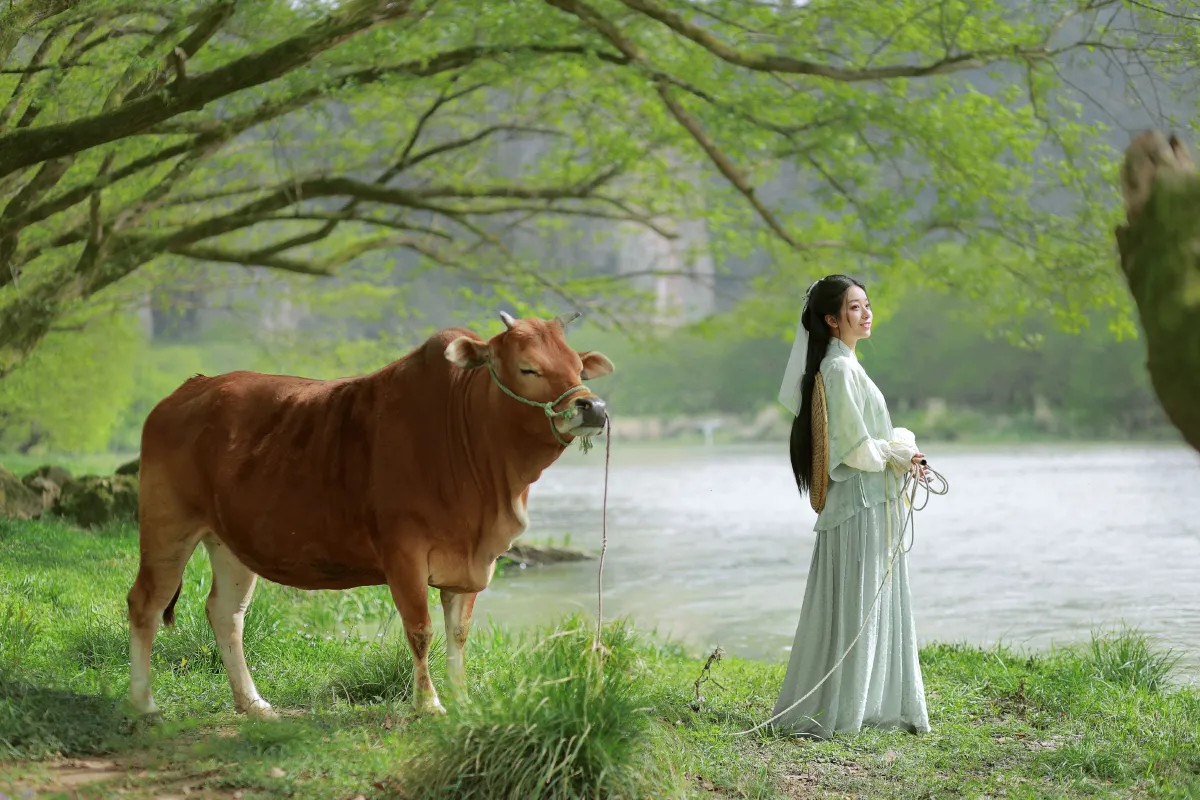 从暮暮_小清菡呀 《 牧牛》美图作品图片4