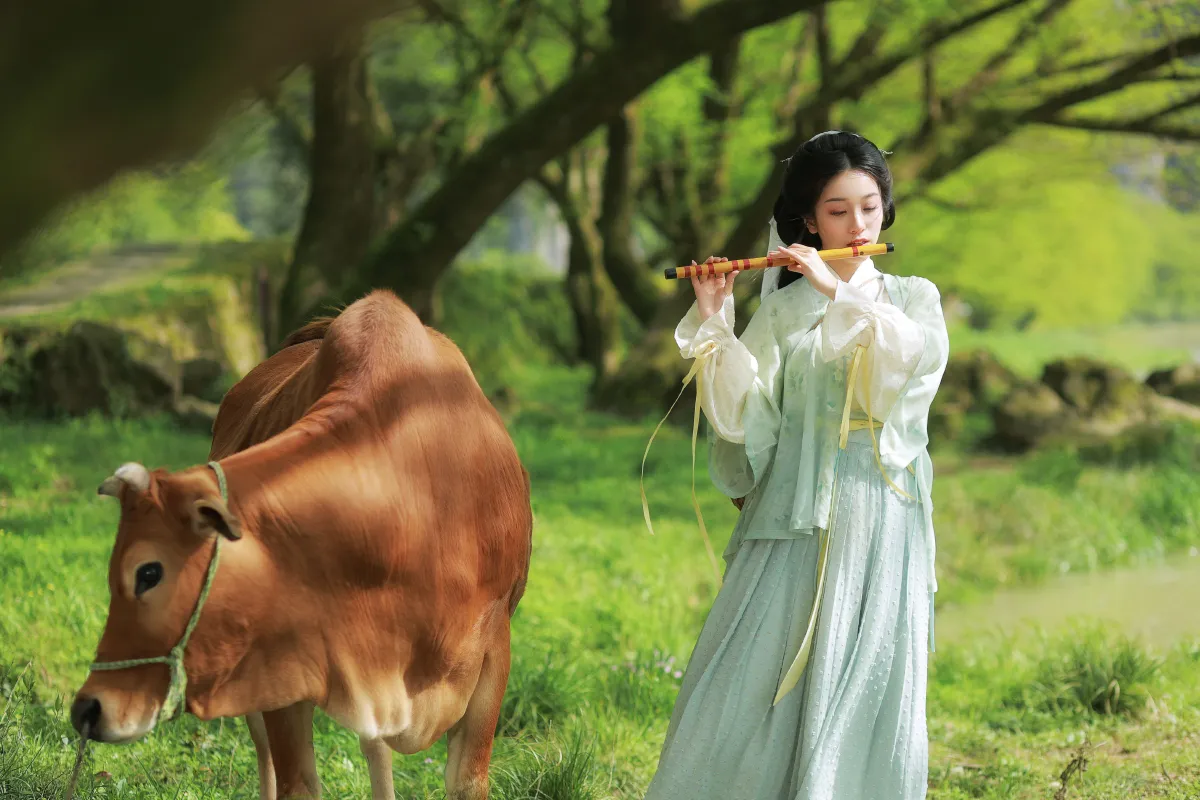 从暮暮_小清菡呀 《 牧牛》美图作品图片5