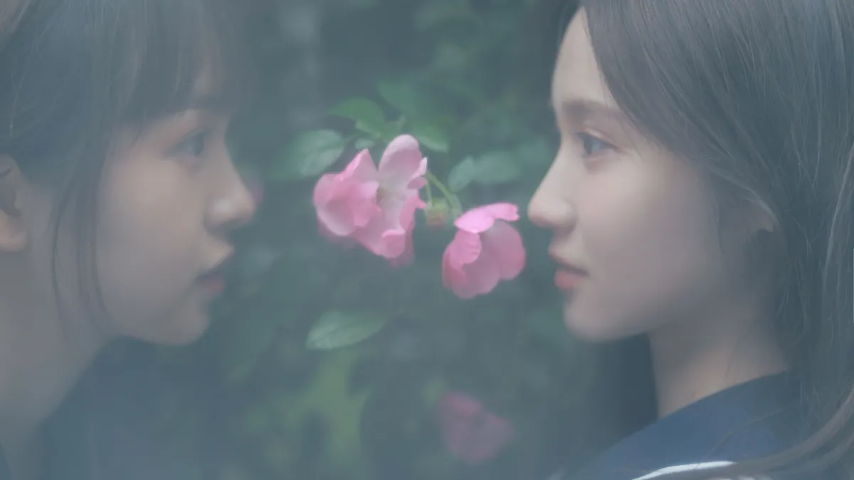 花与爱丽丝3