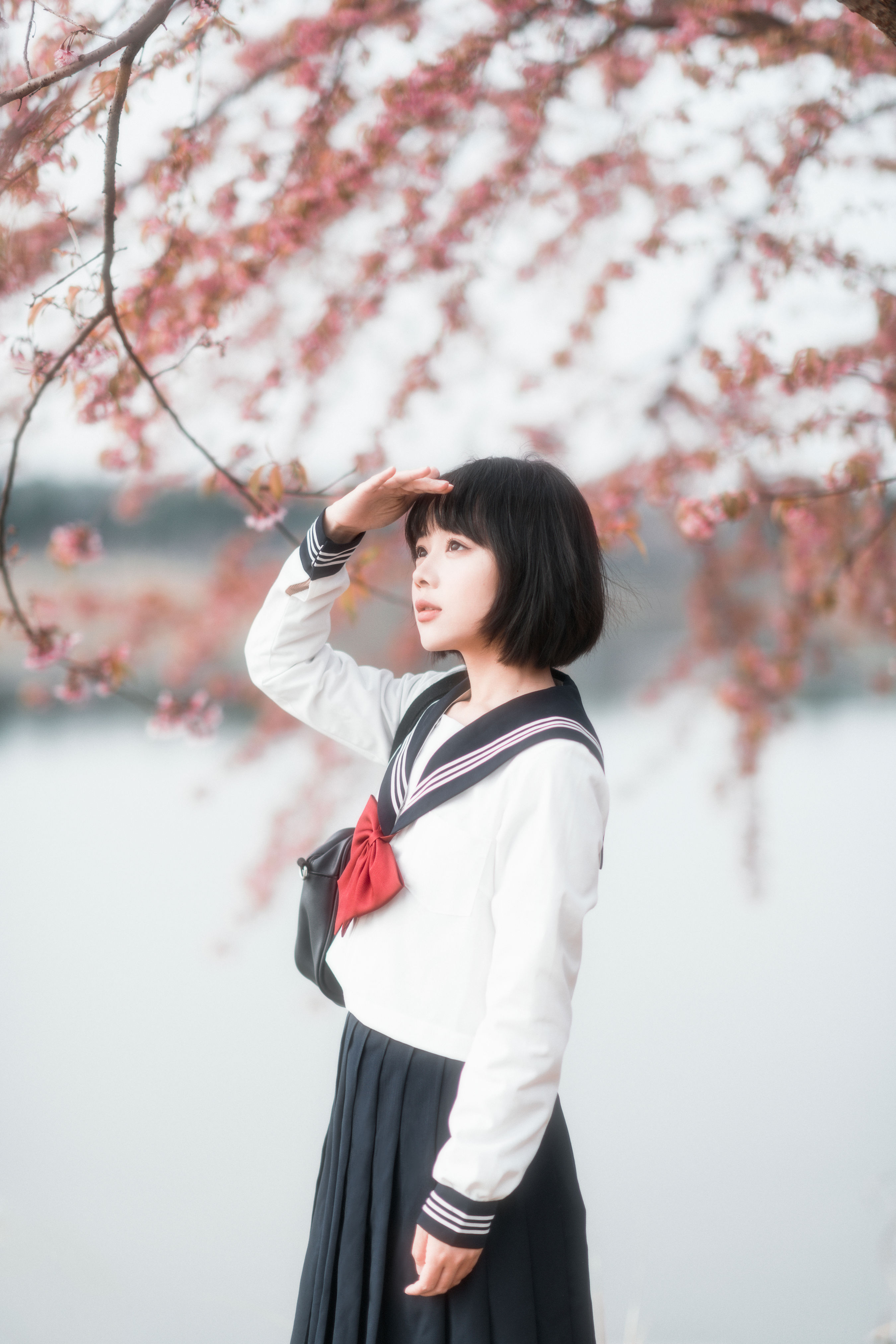 冬末的阳光