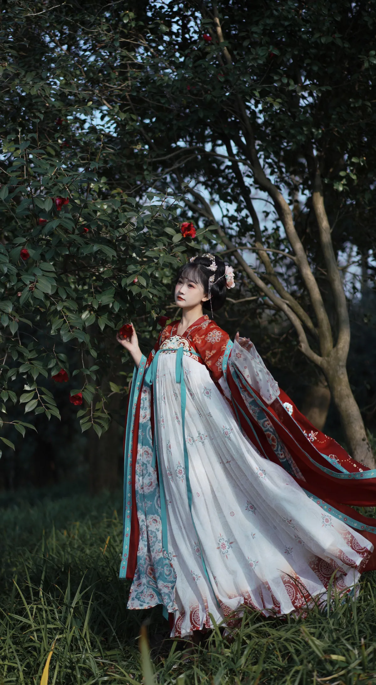 又山茶花1