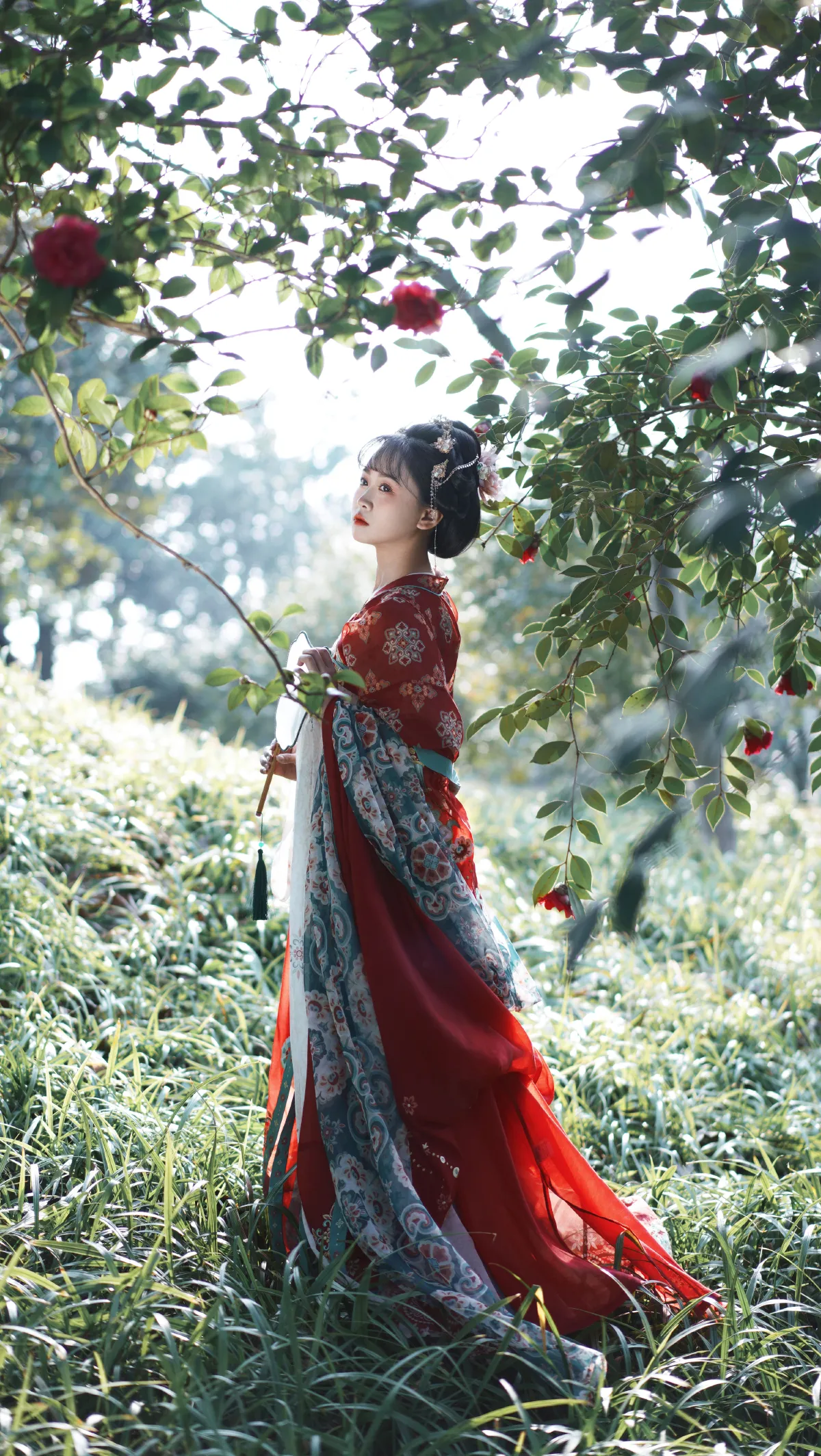 又山茶花