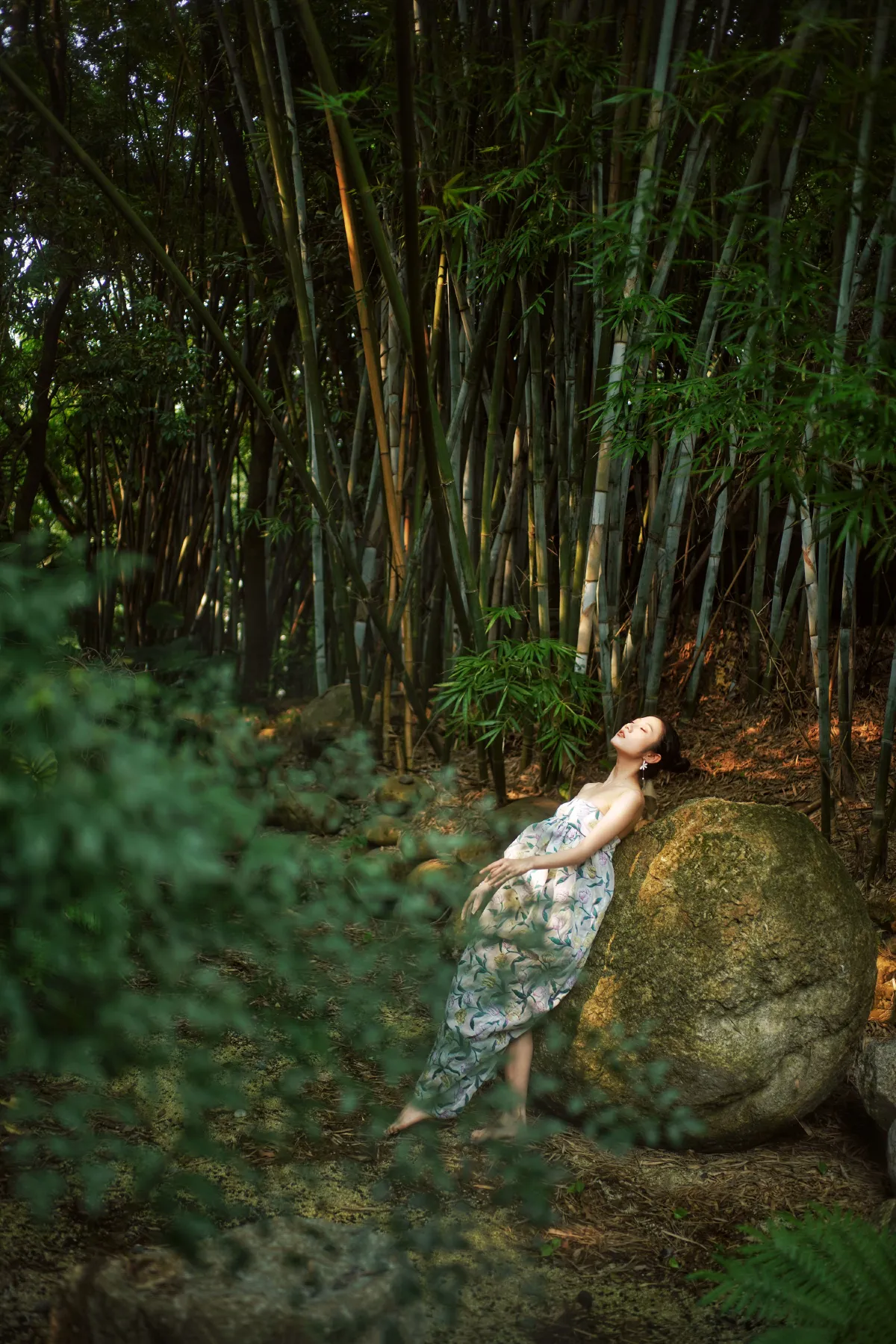 竹篱之夏2