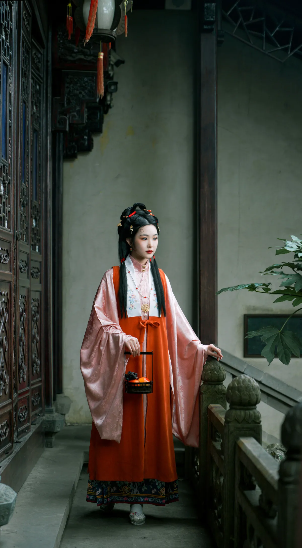 梦红楼1