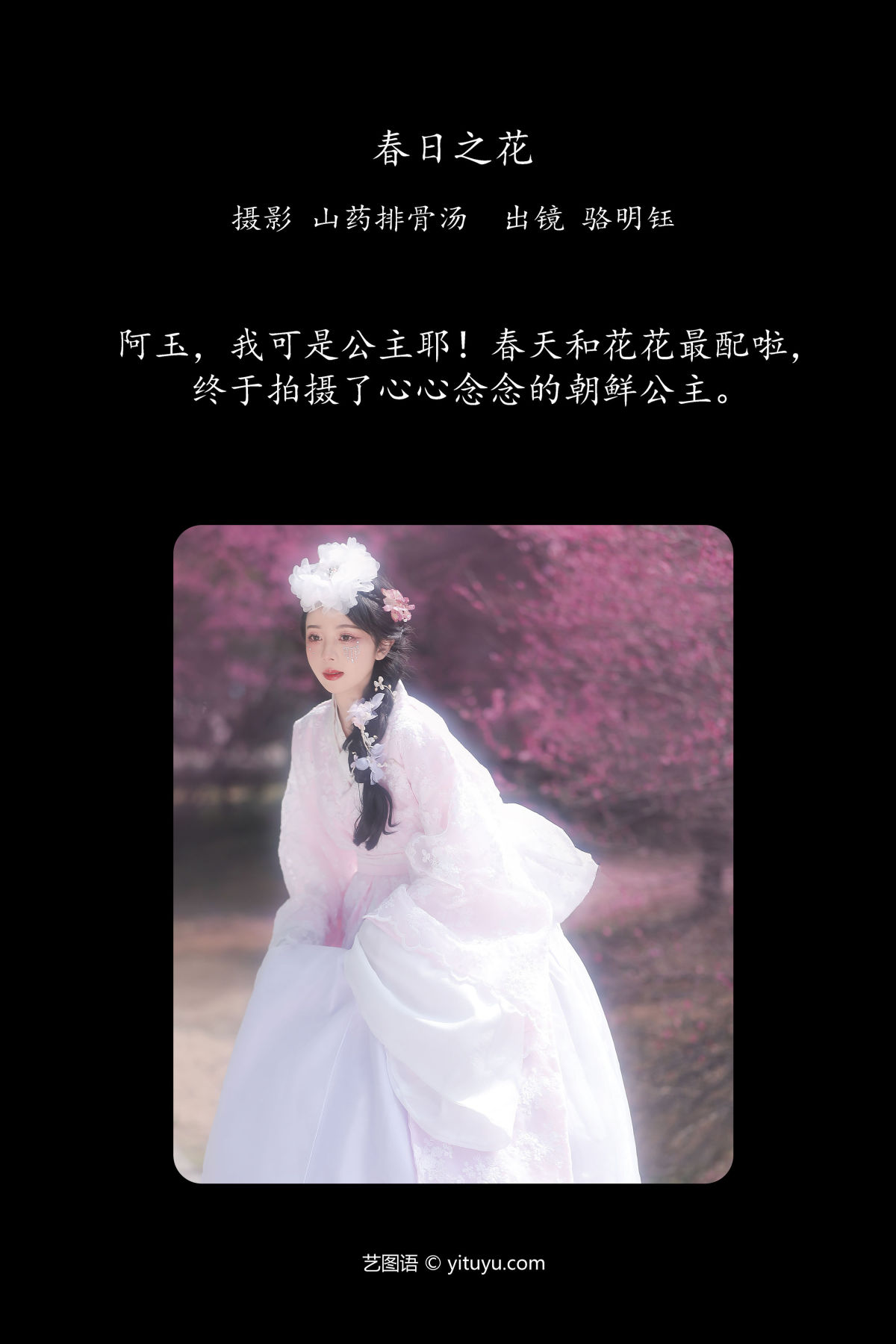 山药排骨汤_骆明钰《春日之花》美图作品图片2