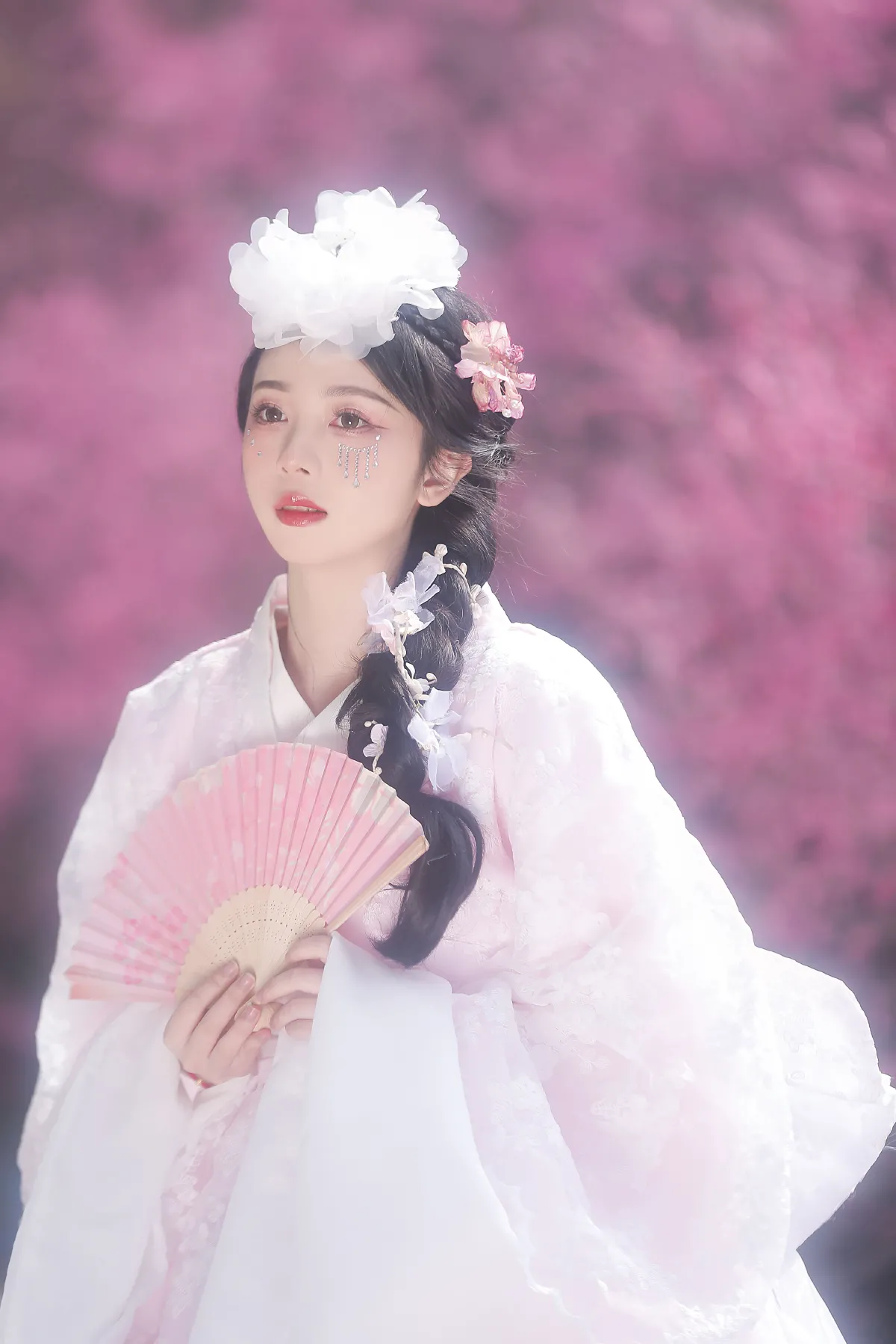 春日之花1
