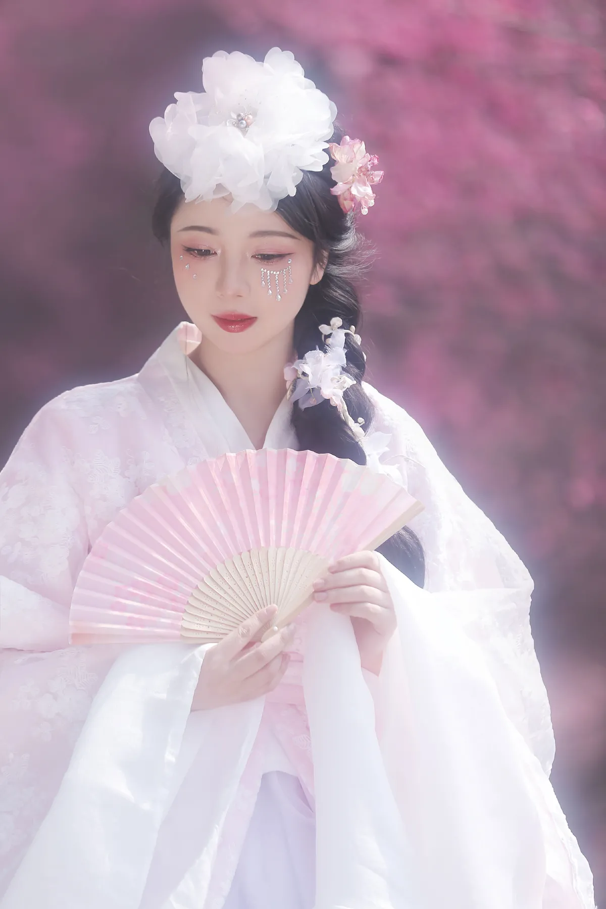 春日之花