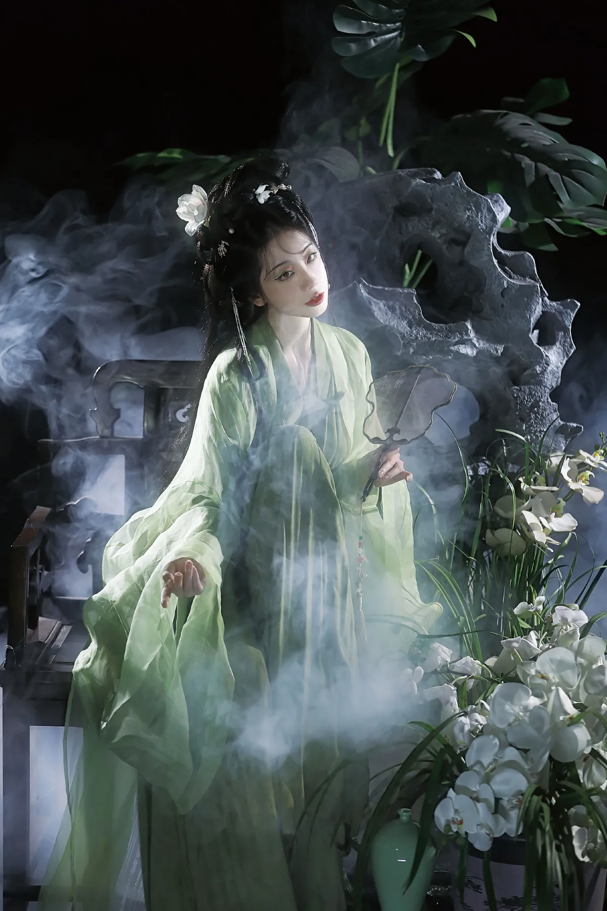 蝴蝶兰