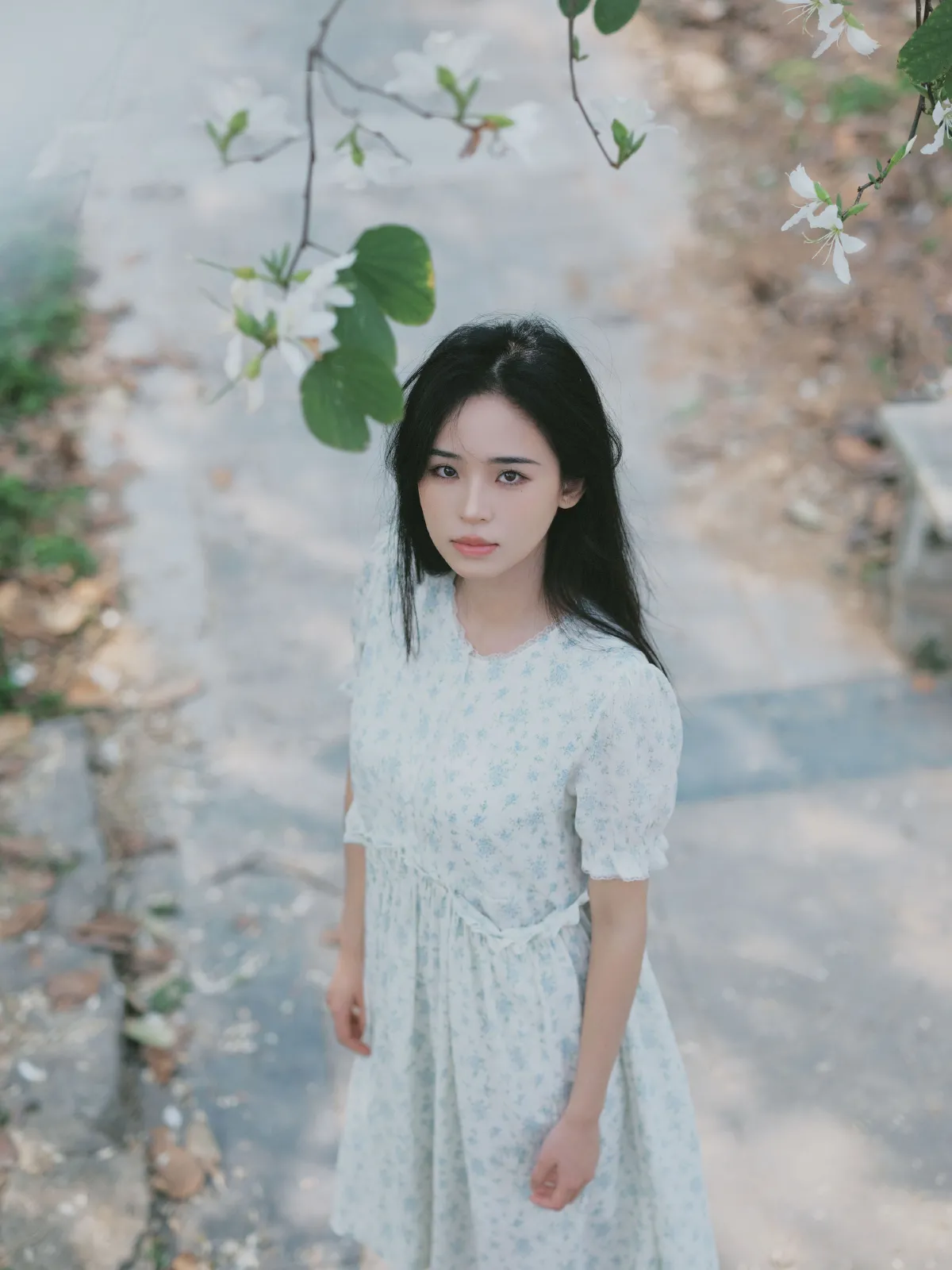 时光画卷2