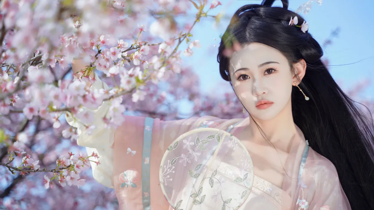 樱之花1