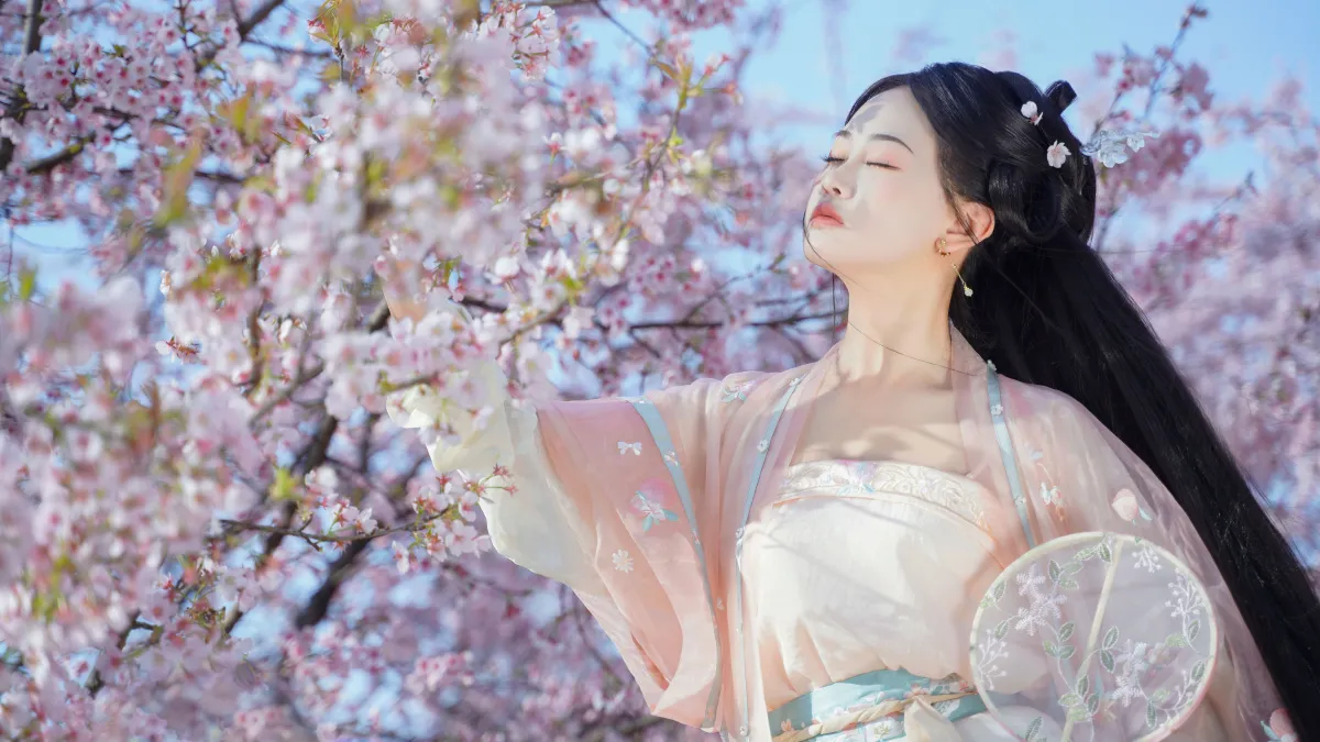樱之花