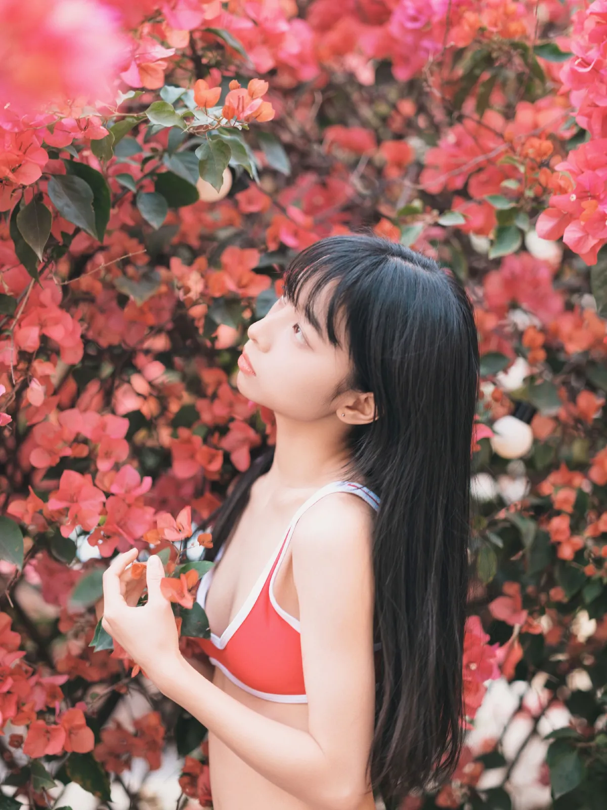 无尽夏