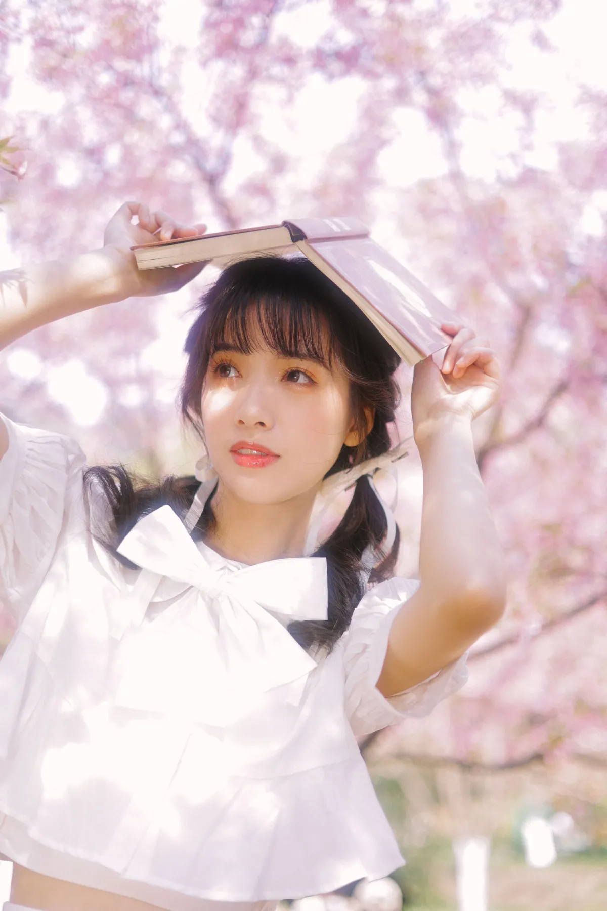 粉樱3