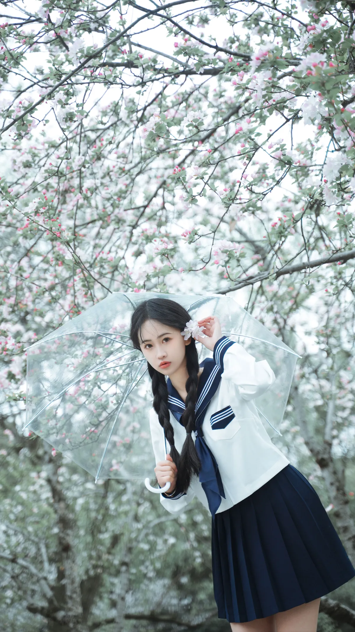 樱花