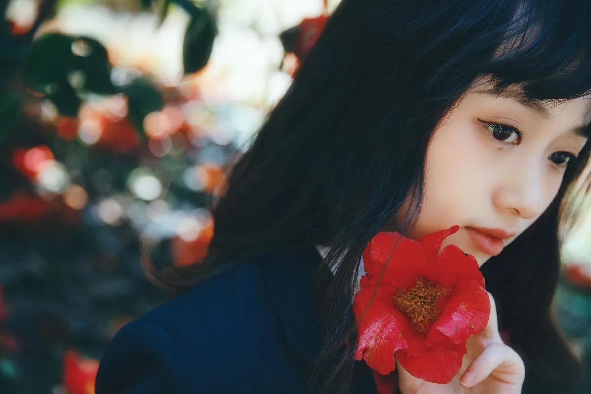 山茶花又开1
