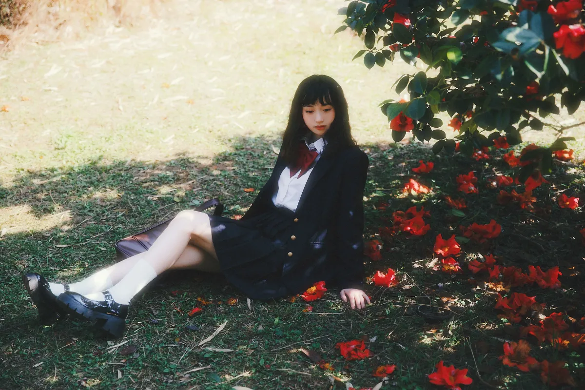 山茶花又开