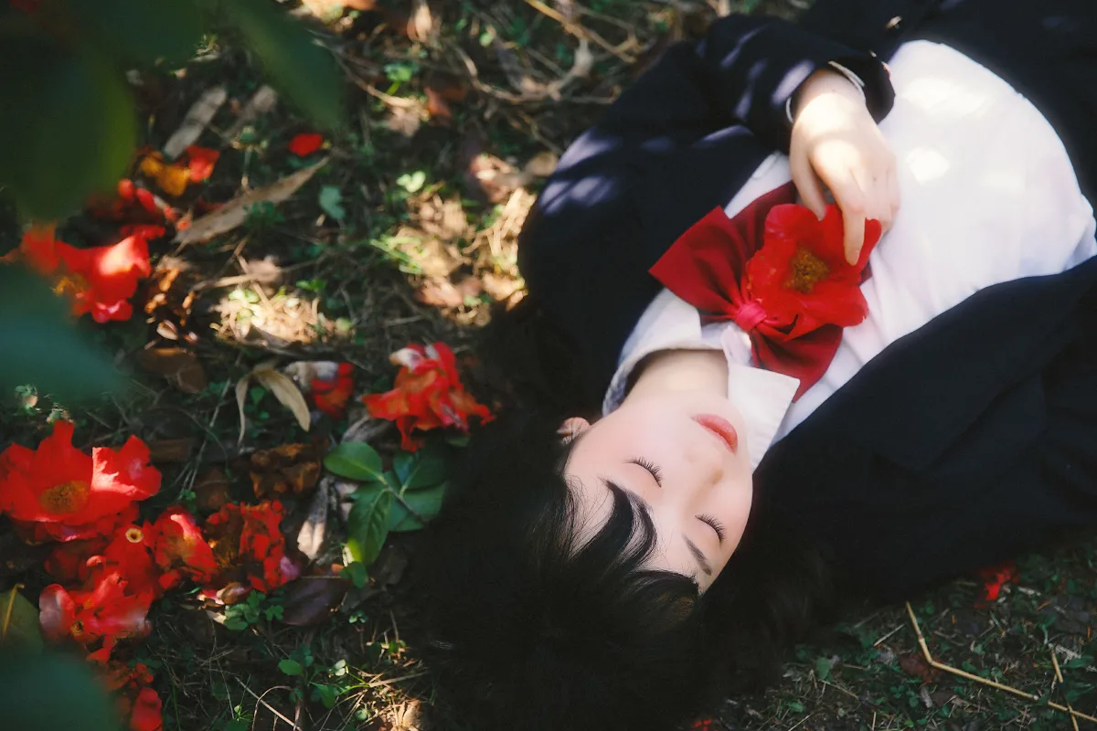 山茶花又开2