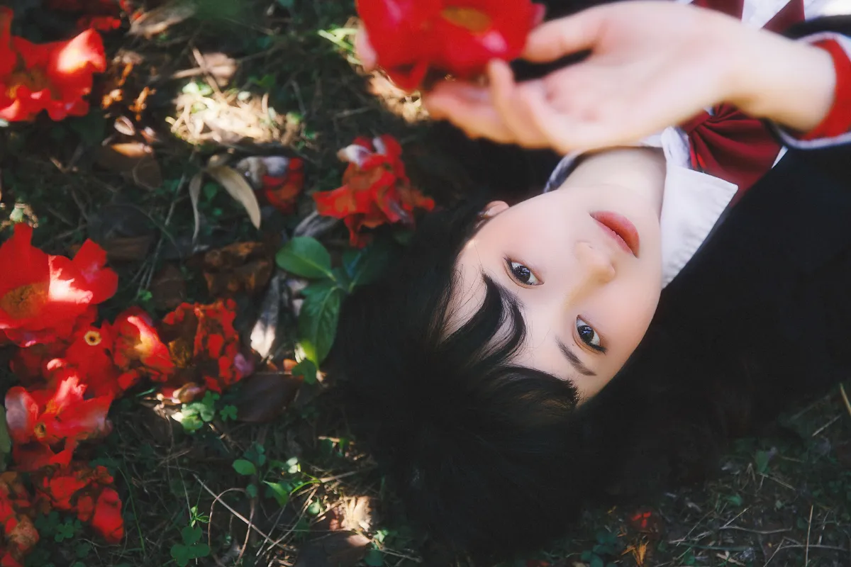 山茶花又开