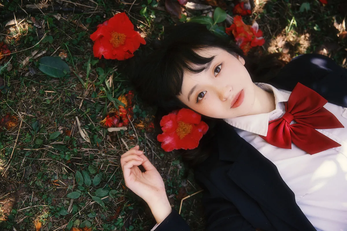 山茶花又开