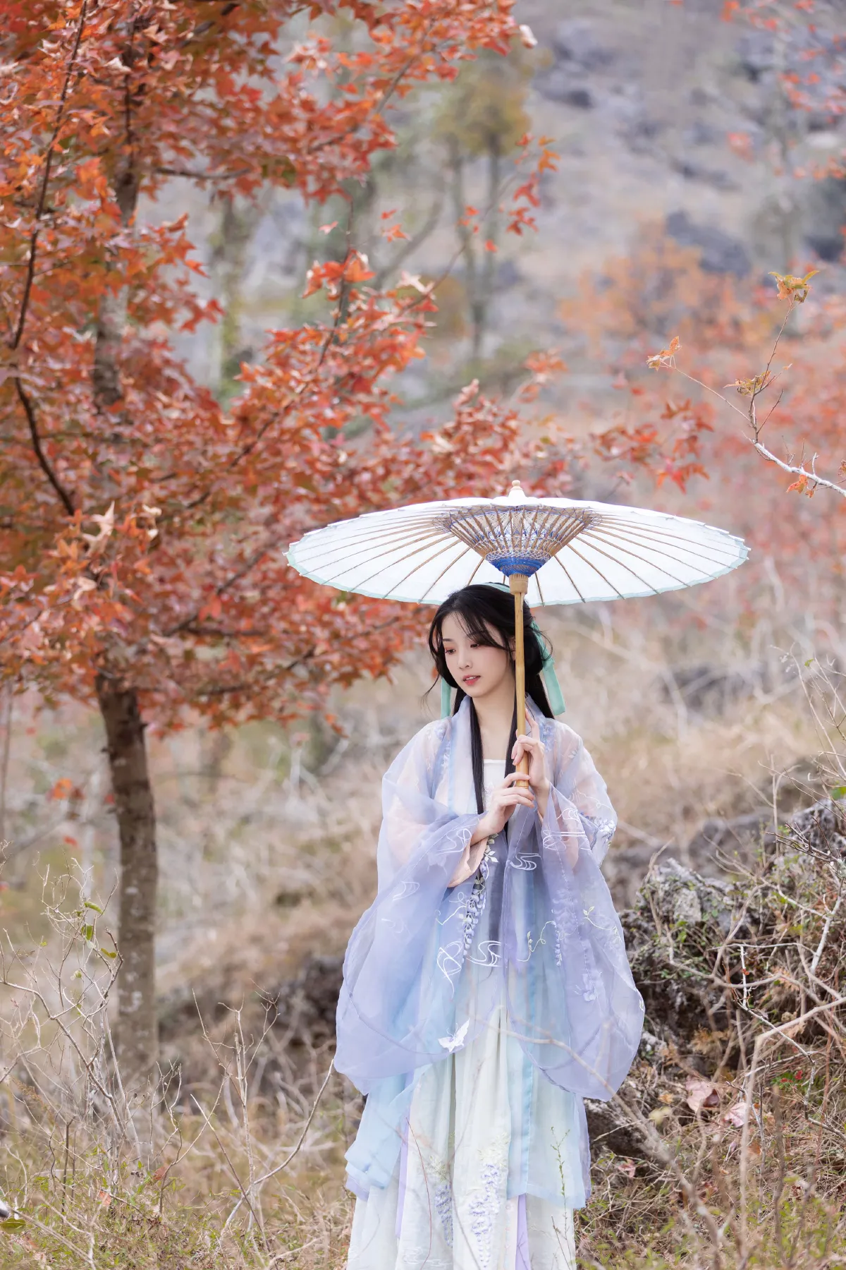 又一秋