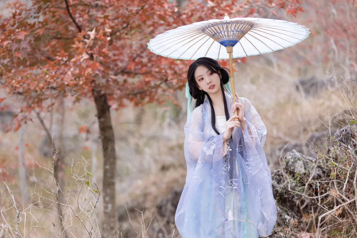 又一秋