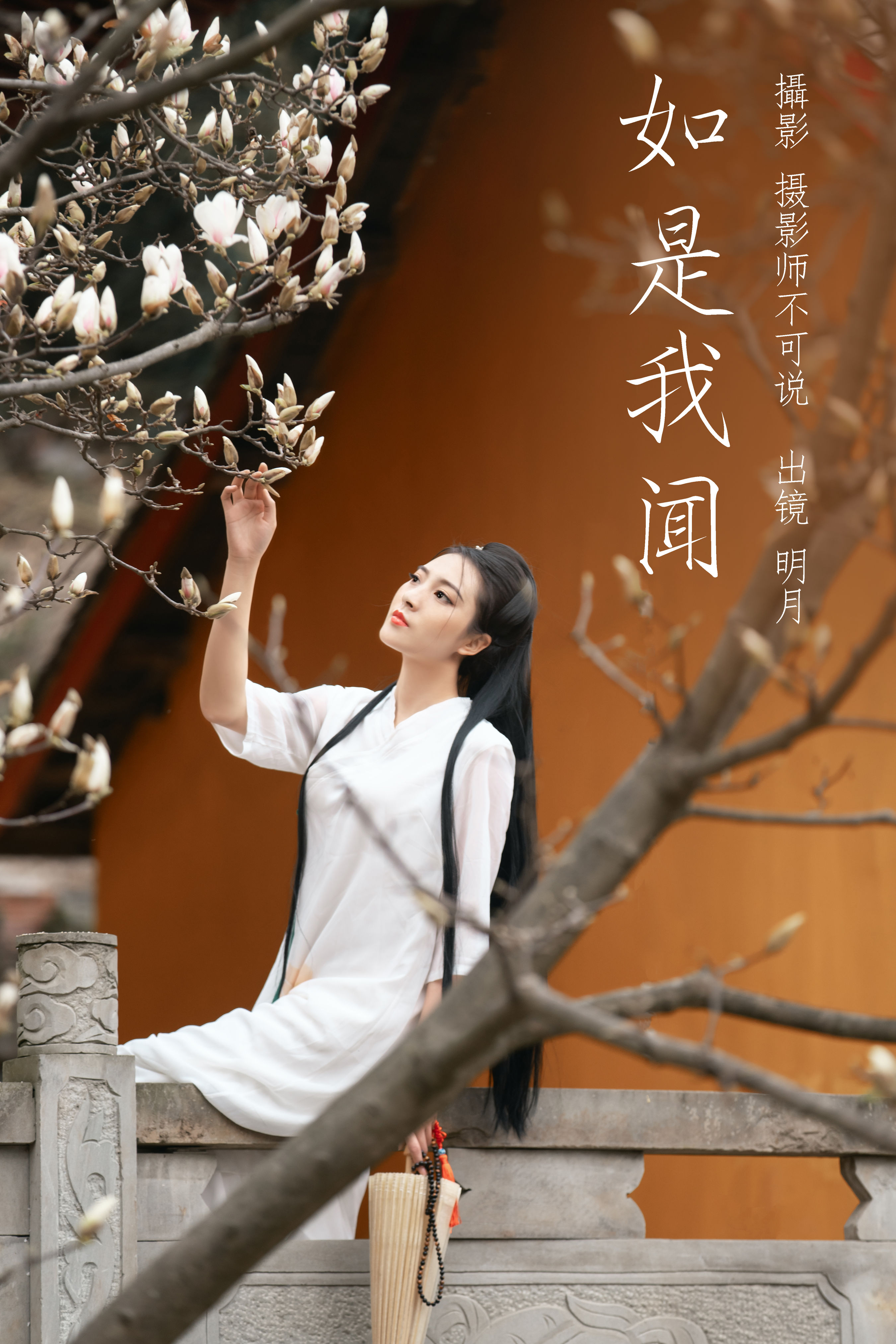 摄影师不可说_明月《如是我闻》美图作品图片1