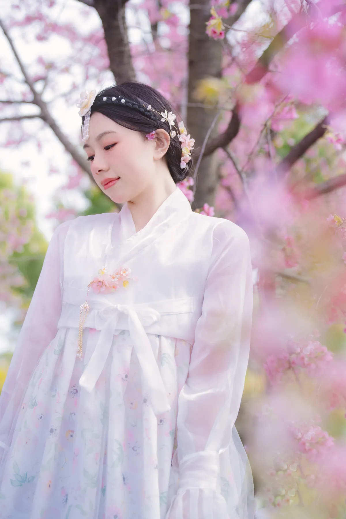 延边公主樱花祭2