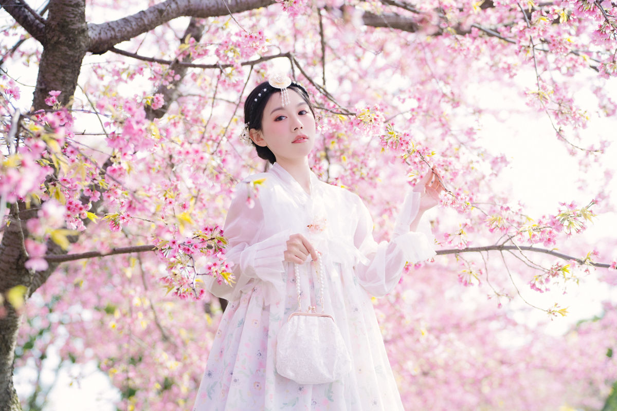 雷斯写真集_初初《延边公主樱花祭》美图作品图片5