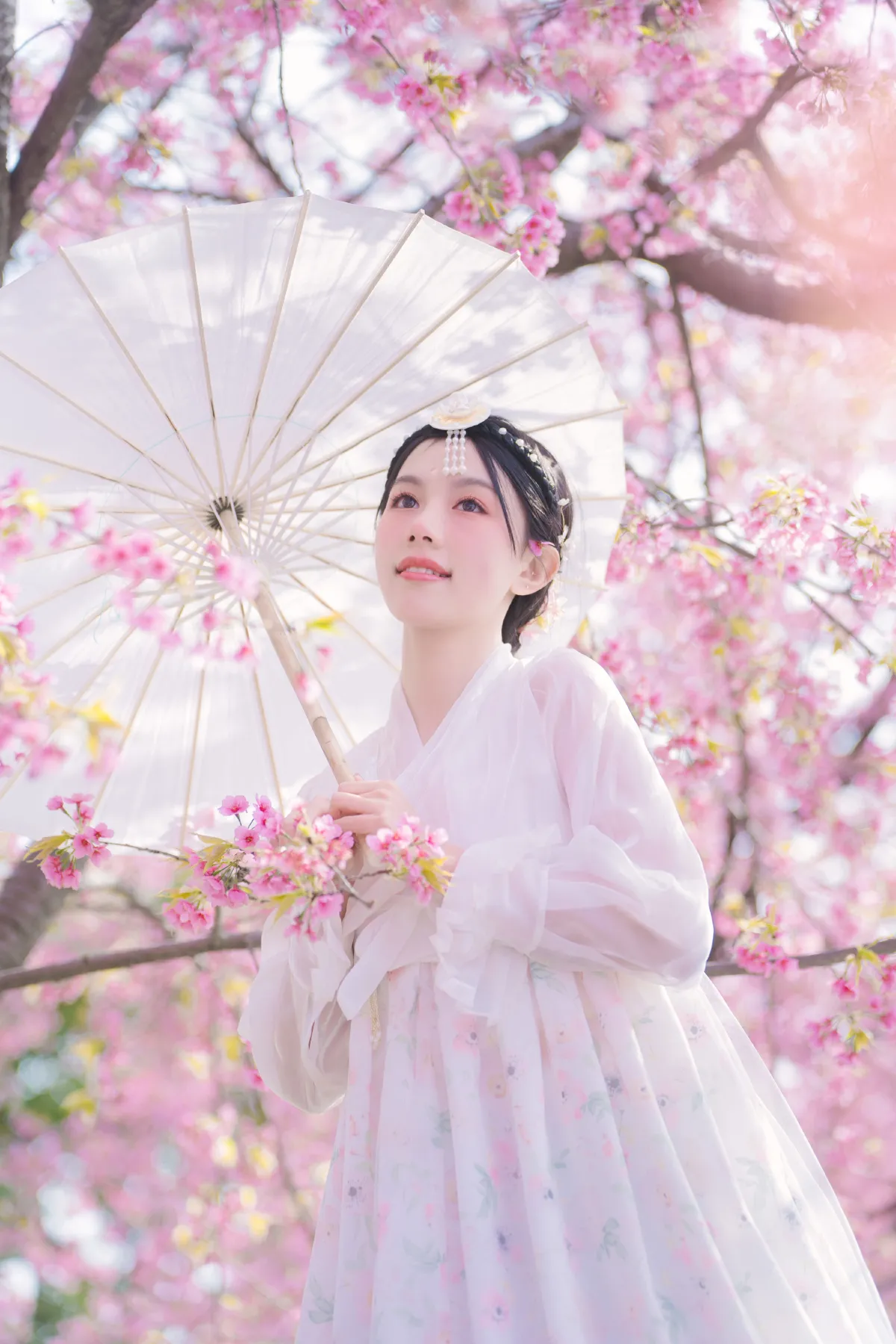 延边公主樱花祭